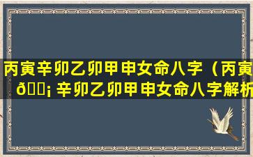 丙寅辛卯乙卯甲申女命八字（丙寅 🐡 辛卯乙卯甲申女命八字解析）